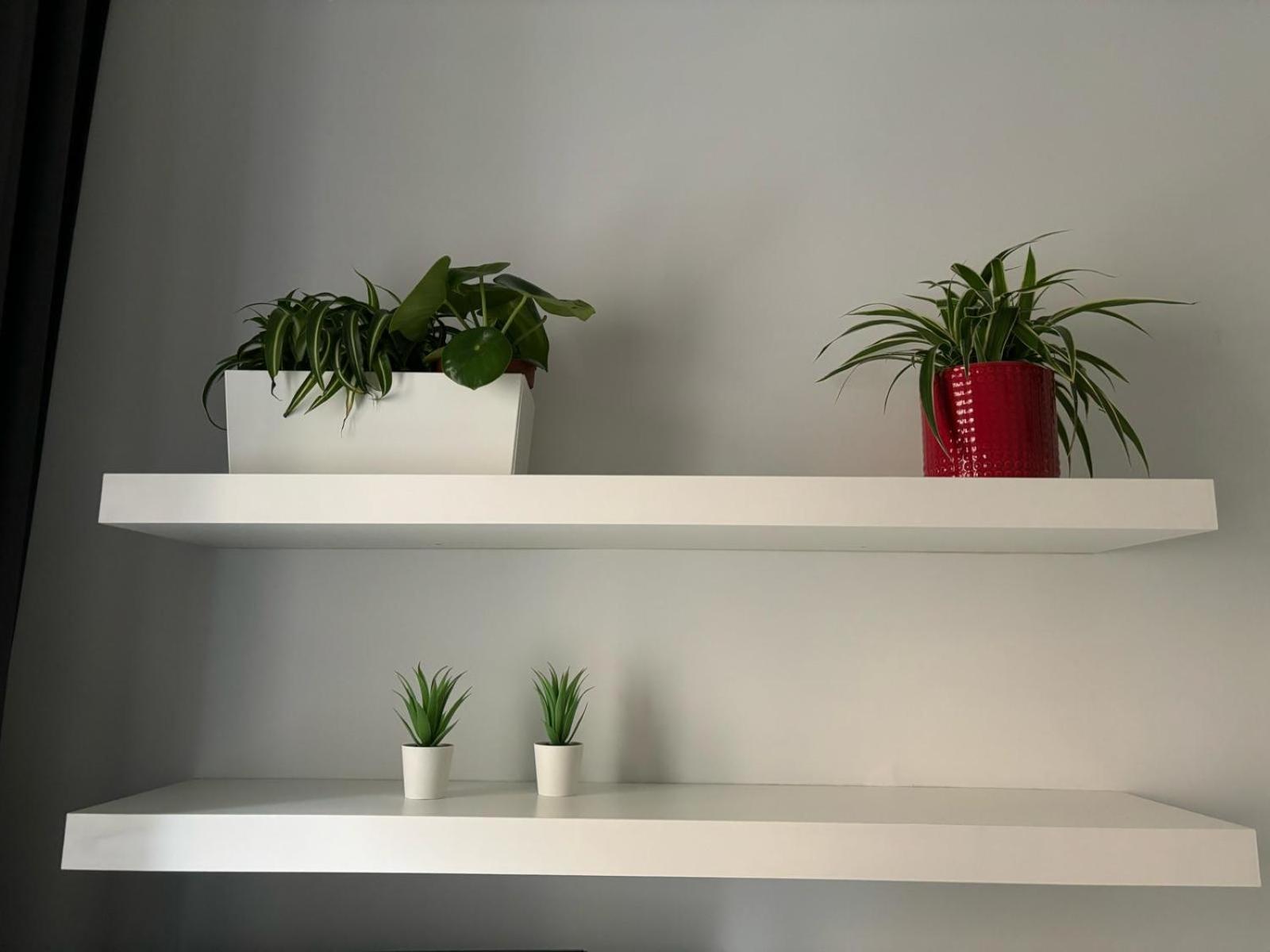 Apartament Casa Vasari Rzym Zewnętrze zdjęcie